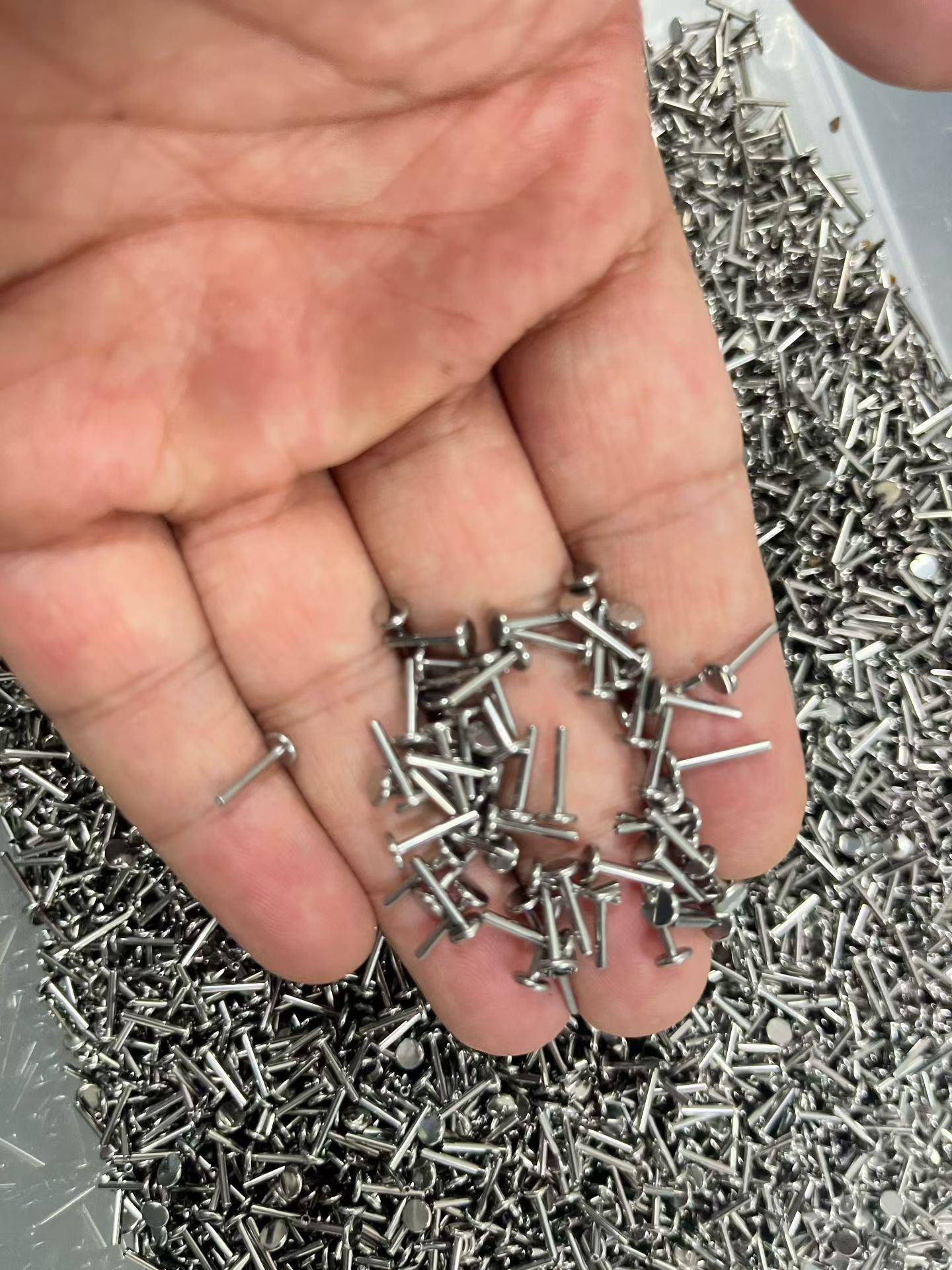 Worker holding semi-finished piercing jewelry parts
